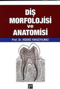 Diş Morfolojisi ve Anatomisi