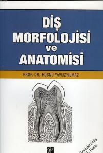 Diş Morfolojisi ve Anatomisi