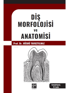 Diş Morfolojisi Ve Anatomisi