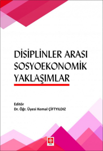 Disiplinlerarası Sosyoekonomik Yaklaşımlar
