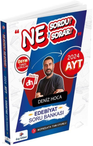 Dizgi Kitap AYT Edebiyat Ne Sordu Ne Sorar Soru Bankası
