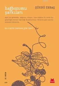 Dört Serüvenci Dizisi Seti (4 Kitap Takım)