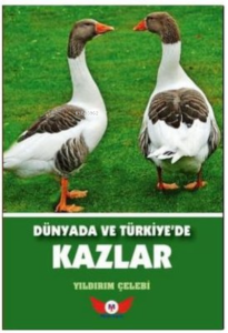 Dünyada Ve Türkiyede Kazlar