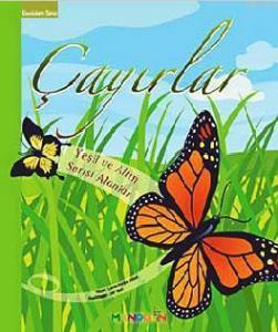 Ekosistem 2. Kitap: Çayırlar; Yeşil ve Altın Sarısı  Alanlar