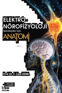 Elektro-Nörofizyoloji Teknikerleri İçin Anatomi