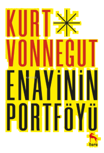 Enayinin Portföyü