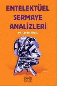 Entelektüel Sermaye Analizleri
