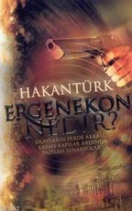 Ergenekon Nedir?