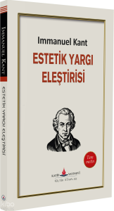 Estetik, Yargı, Eleştirisi