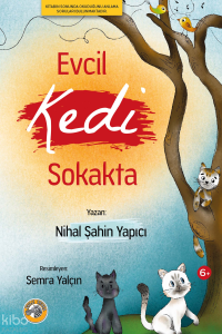 Evcil Kedi Sokakta
