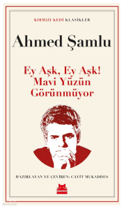 Ey Aşk, Ey Aşk! Mavi Yüzün Görünmüyor