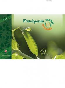 Fasulyenin Yaşam Döngüsü