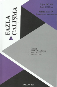 Fazla Çalışma