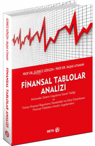 Finansal Tablolar Analizi
