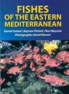 Fishes of the Eastern Mediterranean