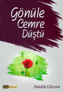 Gönüle Cemre Düştü