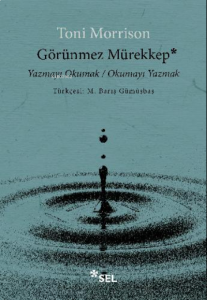 Görünmez Mürekkep;Yazmayı Okumak / Okumayı Yazmak