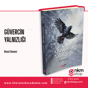 Güvercin Yalnızlığı