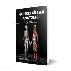 Hareket Sistemi Anatomisi