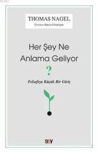 Her Şey Ne Anlama Geliyor?; Felsefeye Küçük Bir Giriş