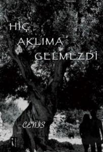 Hiç Aklıma Gelmezdi