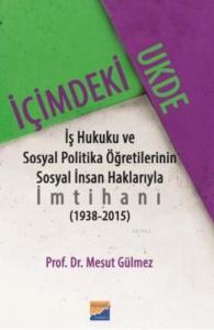 İçimdeki Ukde; ş Hukuku ve Sosyal Politika Öğretilerinin Sosyal İnsan Haklarıyla İmtihanı (1938?2015)