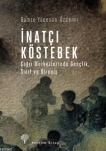 İnatçı Köstebek; Çağrı Merkezlerinde Gençlik, Sınıf ve Direniş