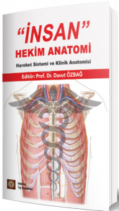 İnsan Hekim Anatomi Hareket Sistemi Ve Klinik Anatomisi