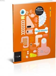 İnsan Vücudu; İnfografik Serisi