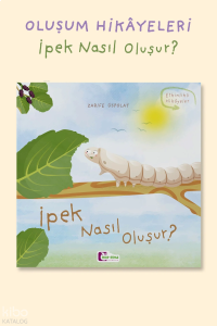 İpek Nasıl Oluşur?
