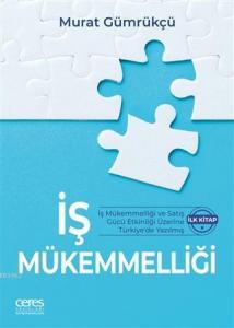 İş Mükemmelliği; İş Mükemmelliği ve Satış Gücü Etkinliği Üzerine Türkiye'de Yazılmış İlk Kitap