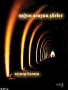 Işığını Arayan Şiirler