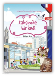 İstanbul’un Acayip Hayvanları Taksimde Bir Kedi