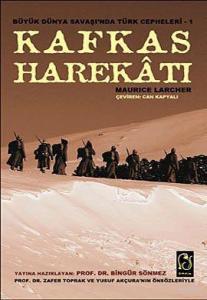 Kafkas Harekatı; Büyük Dünya Savaşı'nda Türk Cepheleri