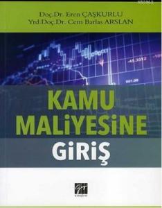 Kamu Maliyesine Giriş