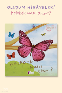 Kelebek Nasıl Oluşur?