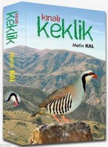 Kınalı Keklik