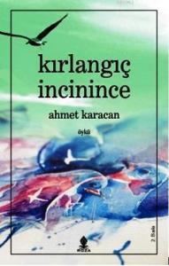 Kırlangıç İncinince