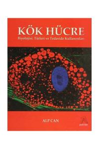 Kök Hücre Biyolojisi, Türleri ve Tedavide Kullanımları