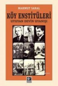 Köy Enstitüleri; Uyuyan Devin Uyanışı
