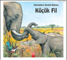 Küçük Fil