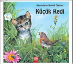 Küçük Kedi