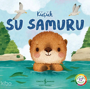 Küçük Su Samuru – Doğanın Eşsiz Hikâyeleri 17