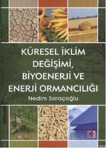 Küresel İklim Değişimi, Biyoenerji ve Enerji Ormancılığı
