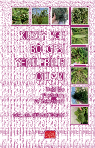 Kuzey Ege Bölgesi Yenilebilir Otları;Sağlığa Faydaları ve Reçeteleri
