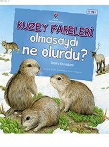 Kuzey Fareleri Olmasaydı Ne Olurdu?; Tundra Ekosistemi