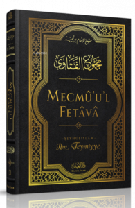 Mecmû'u'l-Fetâvâ (13. cilt)