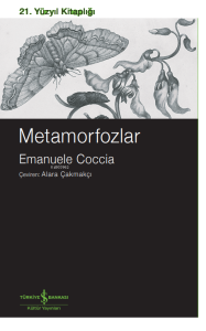 Metamorfozlar