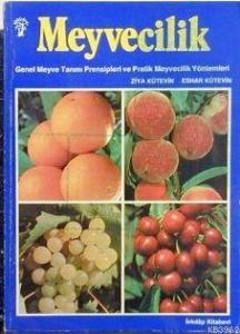 Meyvecilik