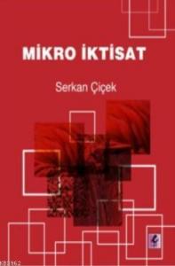 Mikro İktisat
